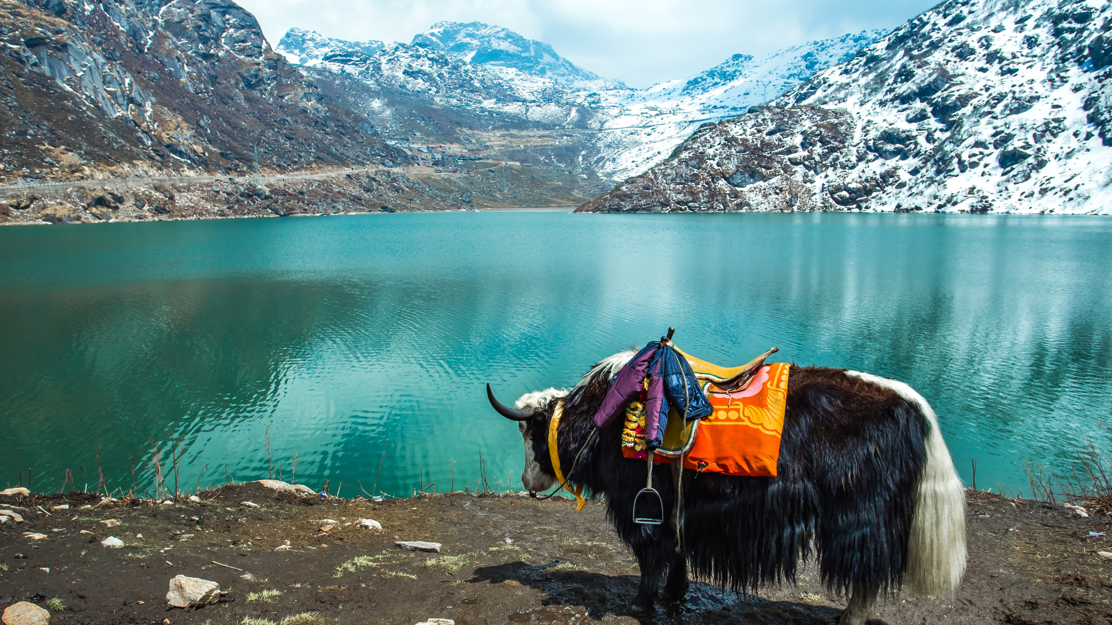 Read more about the article How to Travel India Sustainably: Eco-Friendly Destinations and Tips