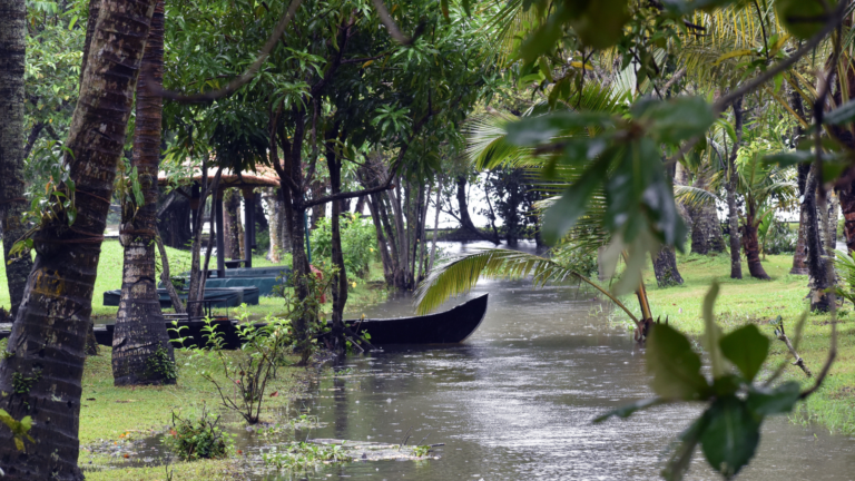 Read more about the article The Ultimate Indian Monsoon Experience: Best Places to Visit During the Rainy Season