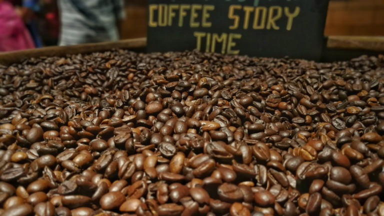 Read more about the article India’s Coffee Culture: Best Coffee Plantations to Visit in South India