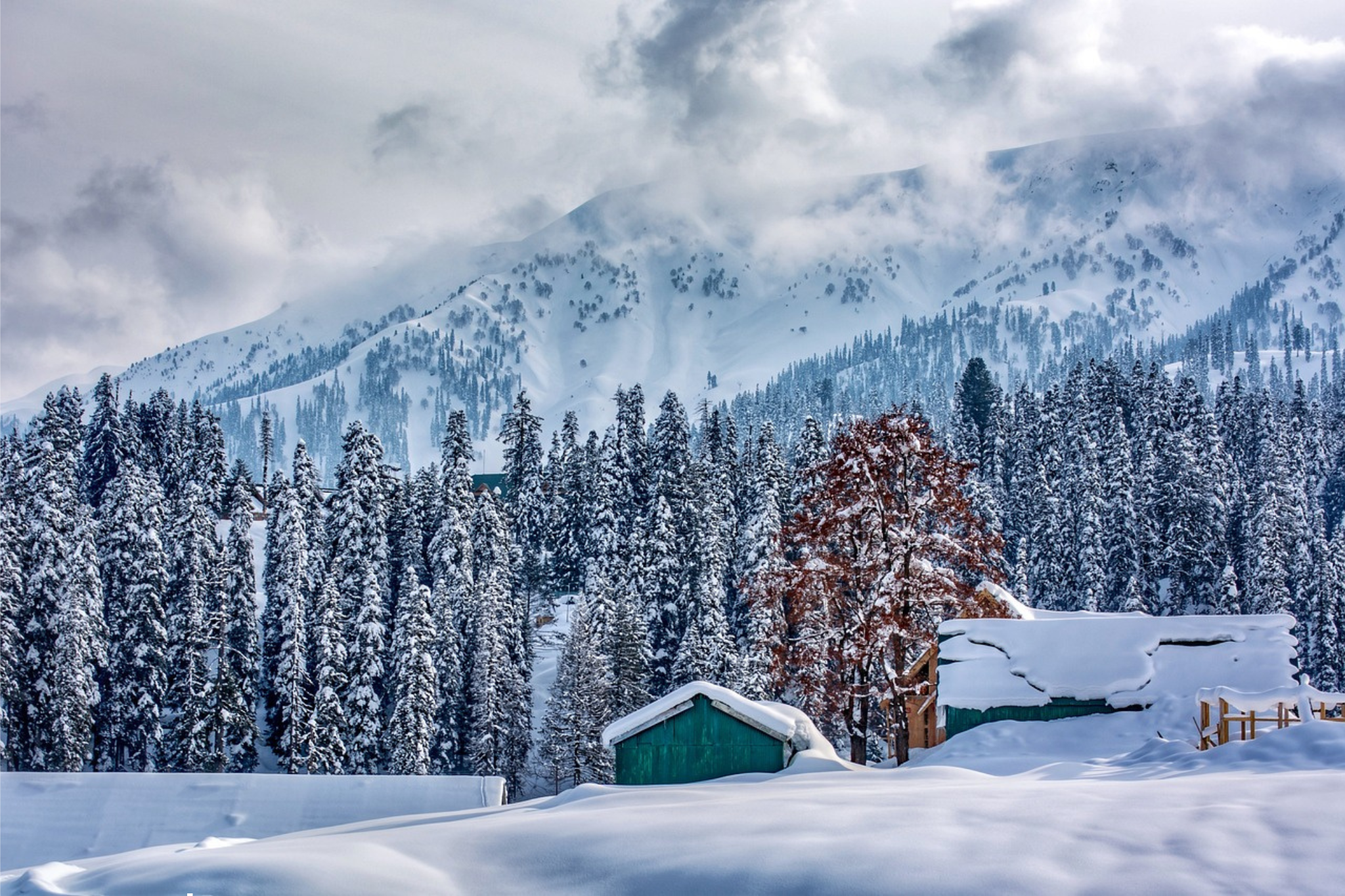 Read more about the article Unforgettable Winter Destinations in India: Where to Visit from November to February