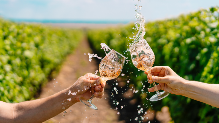 Read more about the article Exploring India’s Wine Country: Top Vineyards and Wine Tasting Experiences
